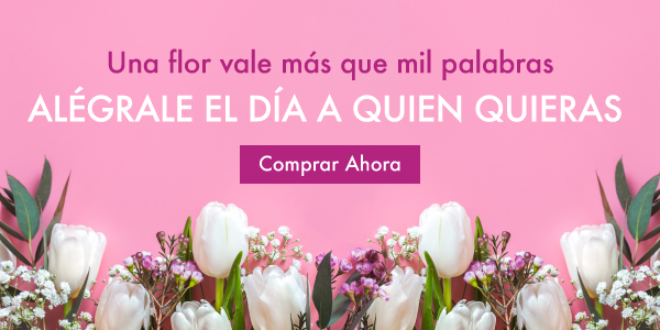 Florerias